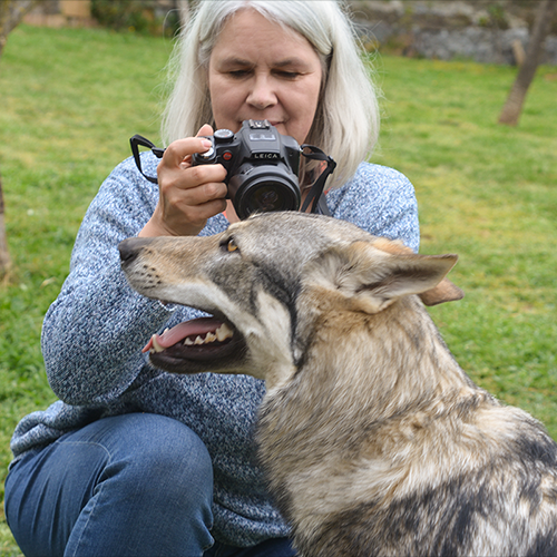Anja with a leica camera in her hand taking a picture of a Czechoslovakian wolf dog